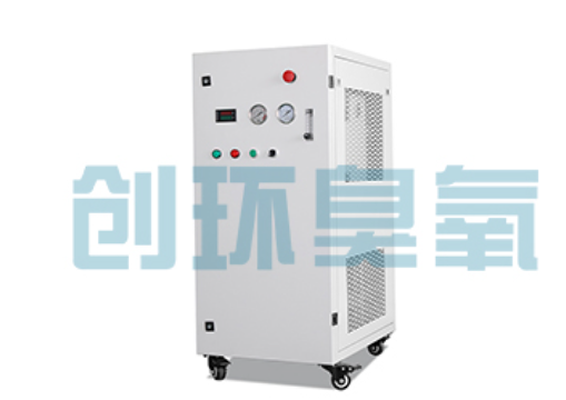 梧州石斑鱼养殖水质调控完整指南:臭氧发生器配置与操作步骤